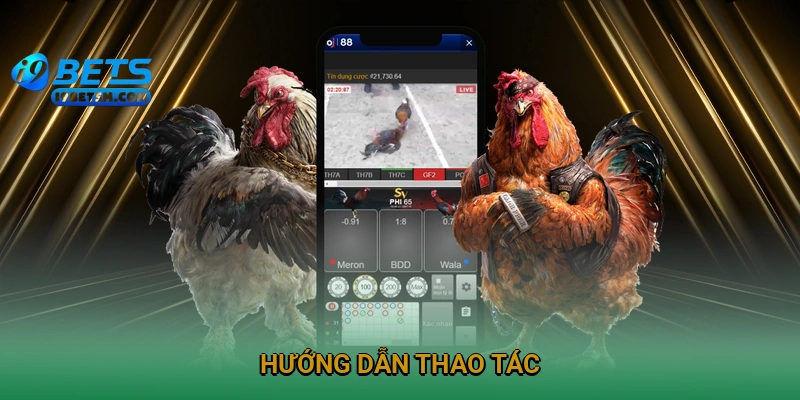 huong-dan-thao-tac