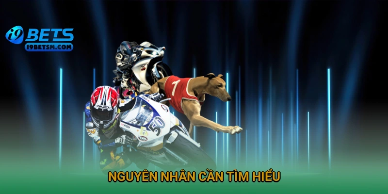 nguyen-nhan-can-tim-hieu