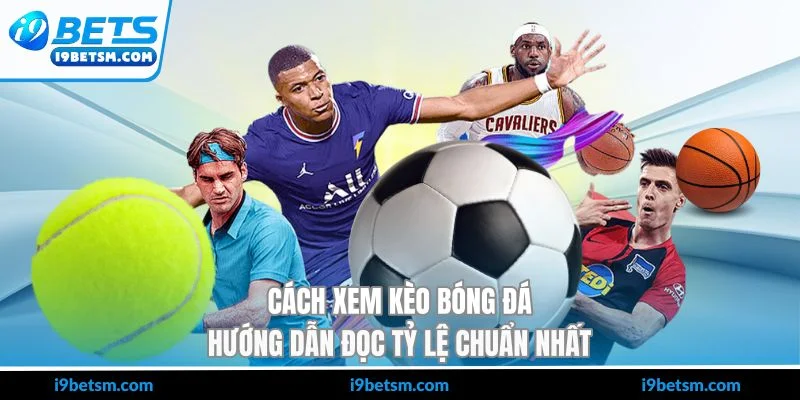 Cách Xem Kèo Bóng Đá - Hướng Dẫn Đọc Tỷ Lệ Chuẩn Nhất